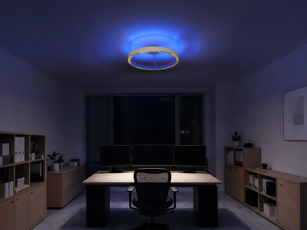 LINIA apparecchio da soffitto 660 - 10010 2