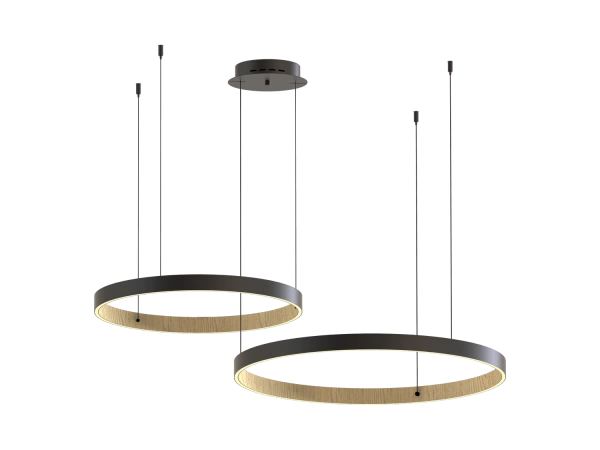 Lampada a sospensione PATRIOT 650+850 - V10236 9