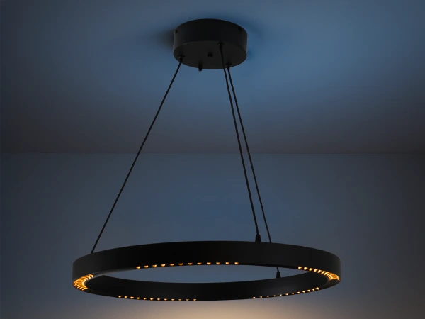 LINIA apparecchio a sospensione 660 - 10012 4