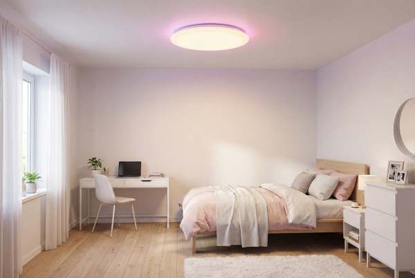 Lampada da soffitto LINIA 499 - 10015 5