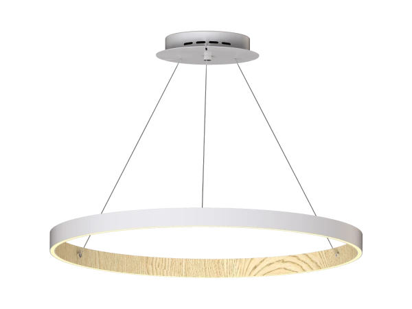 Lampada a sospensione PATRIOT 850 - V10227 5