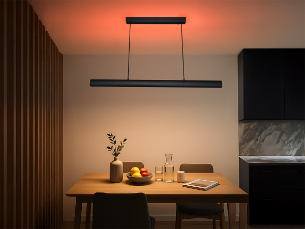 LINIA apparecchio a sospensione 1200 - 10001 2