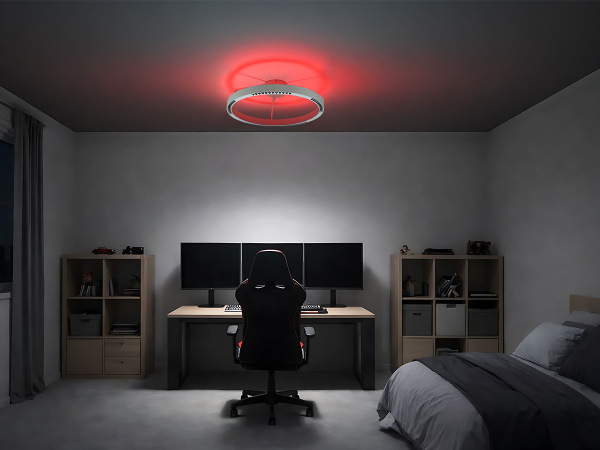 LINIA apparecchio da soffitto 660 - 10009 2